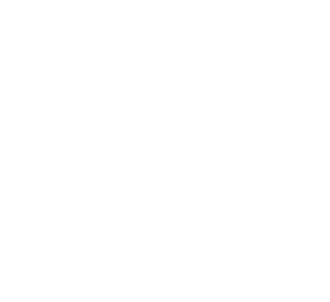 Emynex logo